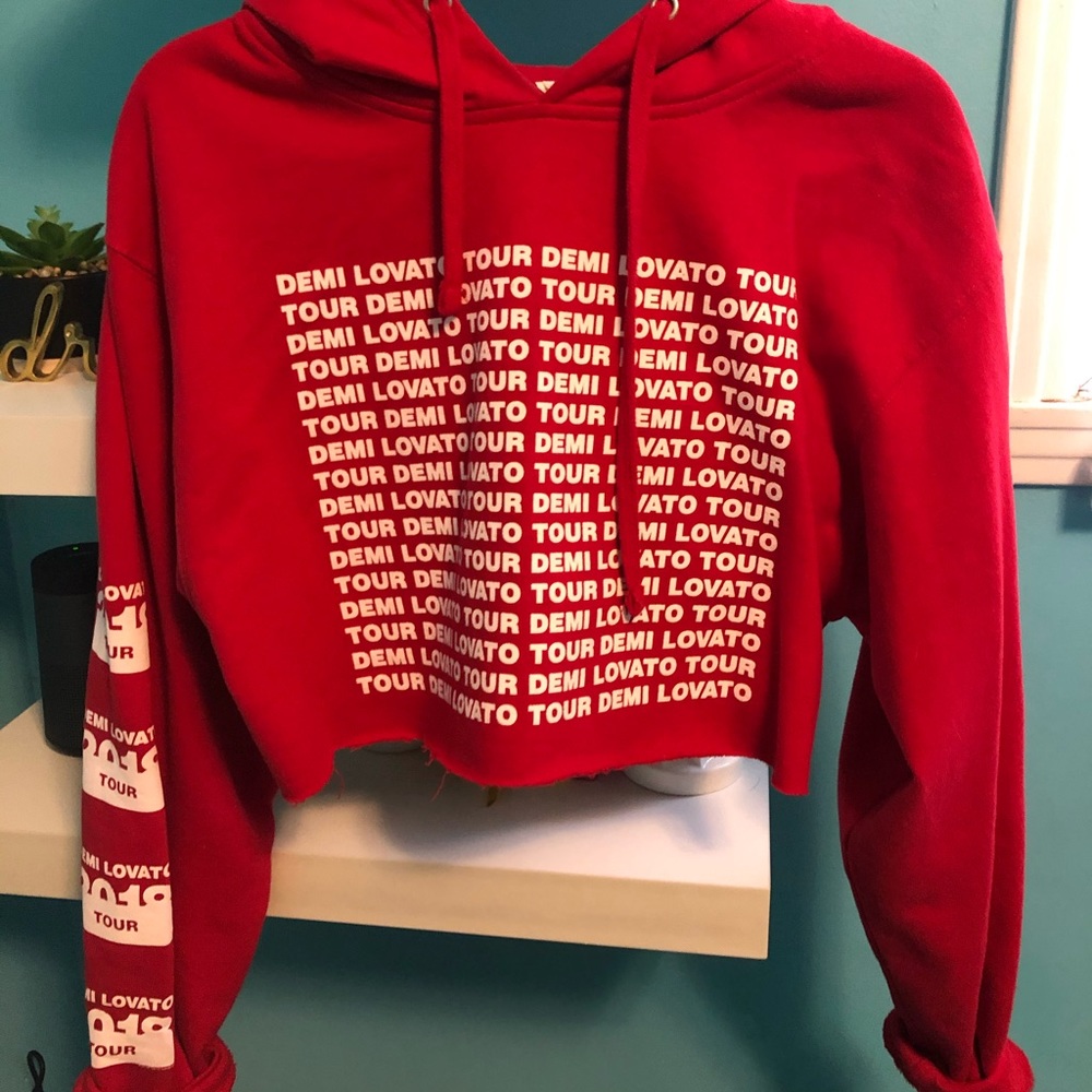 Demi lovato tour hoodie